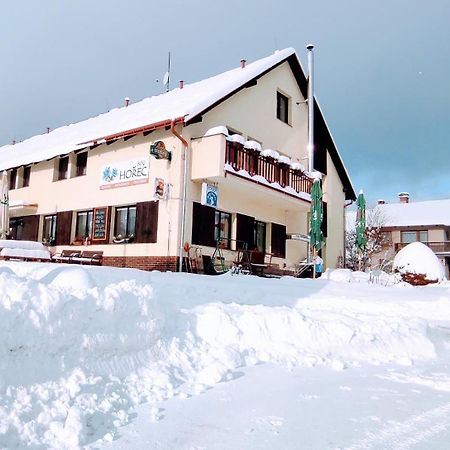 Pension Bily Horec Vrchlabí Exterior foto