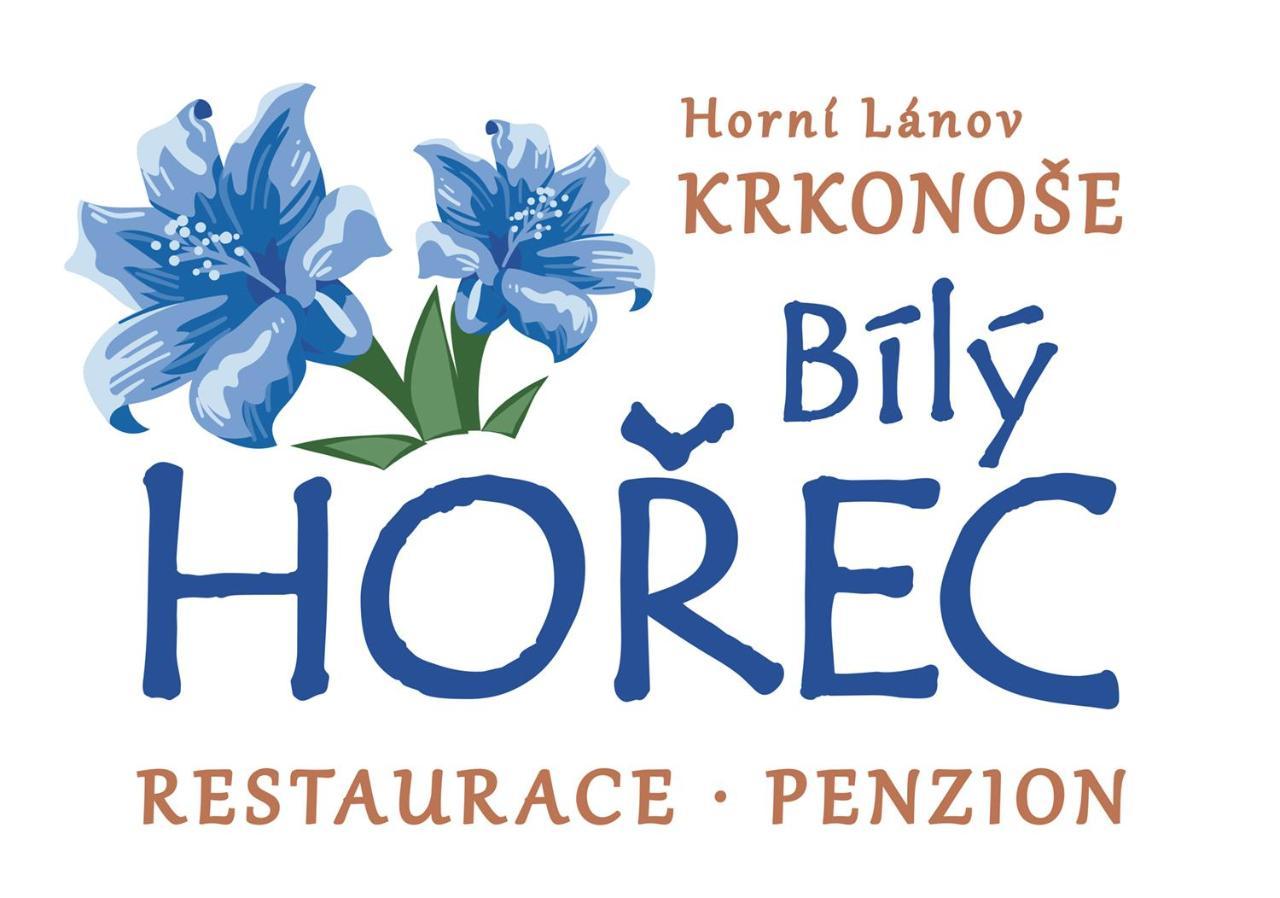 Pension Bily Horec Vrchlabí Exterior foto